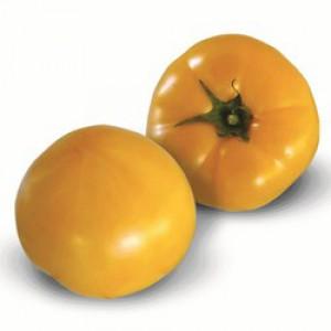 Sarı meyveli domateslerin bakımının özellikleri