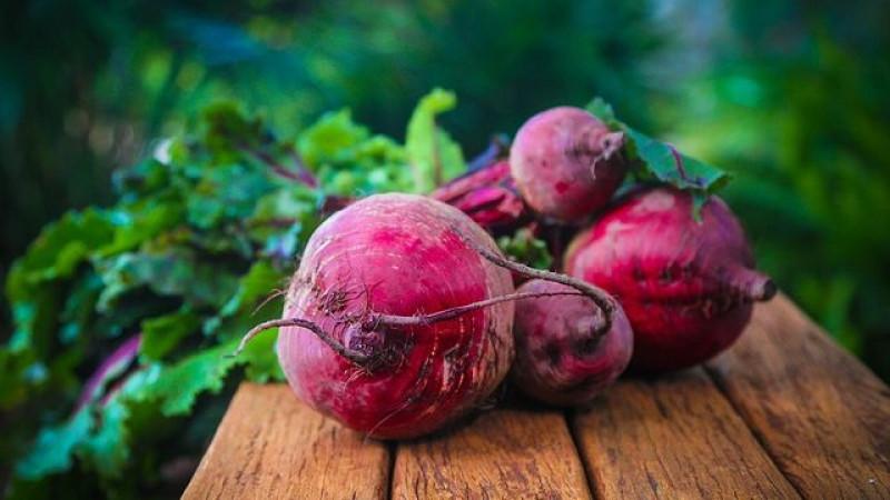 Heerlijke genezer rechtstreeks uit de tuin - gekookte bieten: voordelen en schade aan de lever