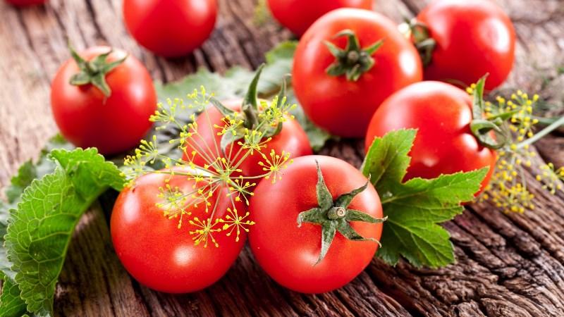Neden domateslere parlak yeşil ve iyot muamelesi yapmalı?