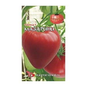 Comment faire pousser une tomate Mazarin dans le pays - instructions de la préparation des graines à la récolte