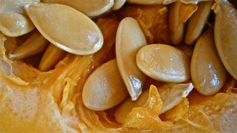 Čudesna ukusna mješavina - kako su sjemenke bundeve s medom korisne i kako ih pravilno koristiti