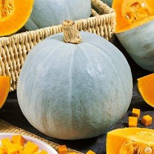 The most popular green pumpkin varieties and features of their cultivation