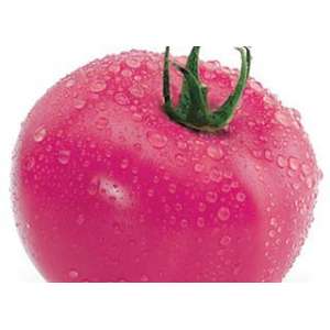 Pokyny pre pestovanie paradajok Raspberry ringing: Teší sa krásne veľké ovocie
