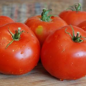 Seralar için ideal, erken olgun ve yüksek verimli domates Blagovest: nasıl doğru şekilde yetiştirilir