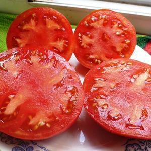 Varför sommarinvånarna älskar Altai orange tomat så mycket, recensioner om dess utbyte och vårdhemligheter