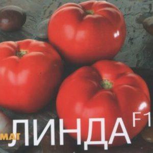 Detaljan opis rajčice Linda F1 - značajke voća i sjemenki