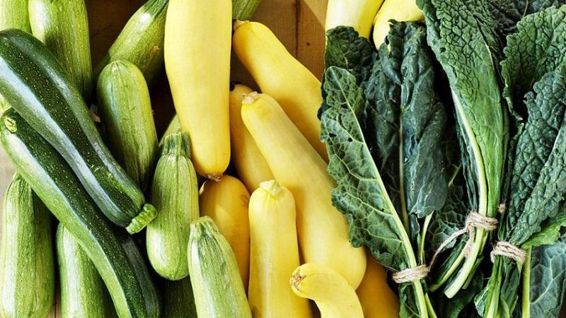 What is the difference between zucchini and zucchini in appearance, taste and other properties: we understand in detail and no longer confuse