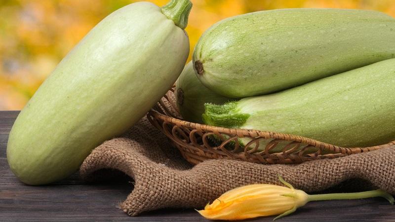 How to drink zucchini juice: benefits and harms for the body, rules for use in folk medicine and cosmetology