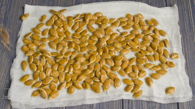Como secar sementes de abóbora em casa: escolha a melhor forma e siga as instruções