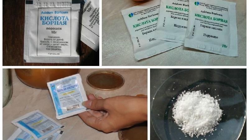 Pinapagamot namin ang popular na sakit sa kamatis nang mabilis at madali: boric acid mula sa huli na pag-blight sa mga kamatis