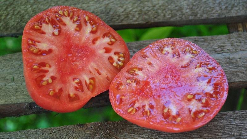 עגבנייה מוקדמת בהירה עם פירות גדולים - עגבנייה היא מלך השוק וסודות טיפוחו מגננים מנוסים