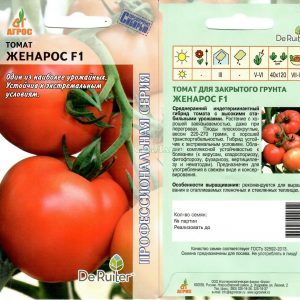 Estable y sin pretensiones en el cuidado, tomate persistente Zhenaros: un regalo de los criadores holandeses