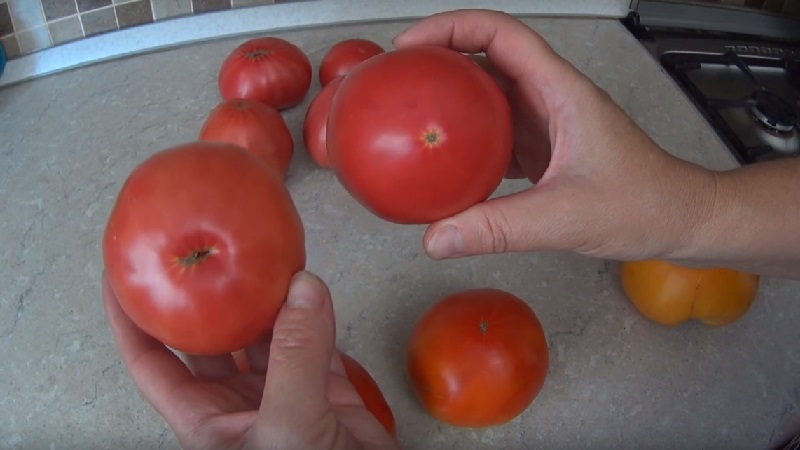 Hoe tomatenzaden thuis te bereiden en er een winteroogst van te krijgen - advies van ervaren tuiniers