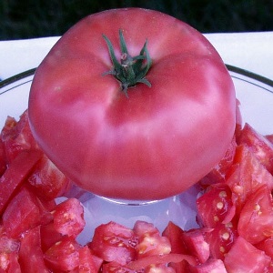 Hibridinė veislė iš Japonijos selekcininkų - pomidorų „Pink Paradise F1“