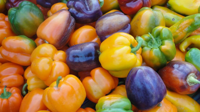 Fördelarna och skadorna på paprika: vad en grönsak är bra för kroppen och hur man äter den korrekt