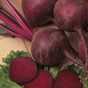 Củ cải mulatto ngọt ngào và đầy vitamin: cách trồng thu hoạch dồi dào và sử dụng ở đâu