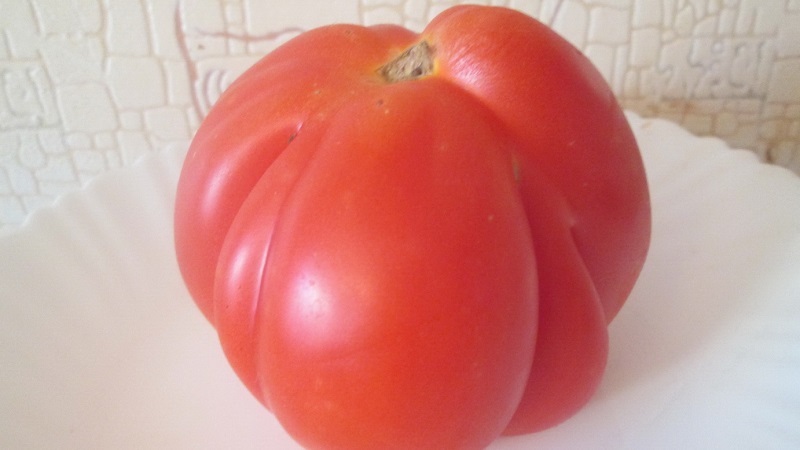 Vi odlar på våra egna stora tomater med söt, saftig, kornig massa: tomat Buffalo Heart