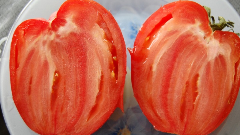 Vi odlar på våra egna stora tomater med söt, saftig, kornig massa: tomat Buffalo Heart