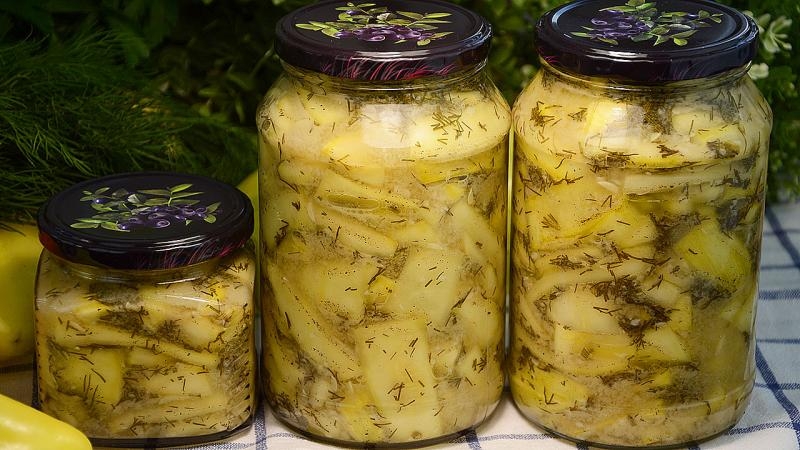 DIY orihinal na meryenda sa taglamig: kung paano mag-salt zucchini - 12 pinaka masarap na mga recipe