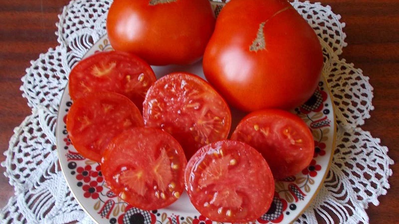 Niedrig wachsende Sorte für Sommeranfänger - Mongolische Zwerg-Tomate: Beschreibung der Sorte und Überprüfung ihres Anbaus