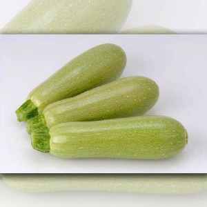 Ang pinakamahusay na mga uri ng zucchini para sa bukas na lupa: isang larawan na may isang paglalarawan, mga tip para sa pagpili