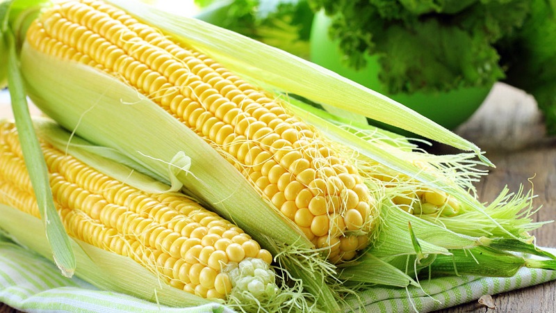 What are the varieties of corn and how to choose the best one for yourself