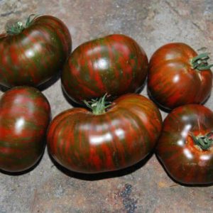 Een variëteit met een ongebruikelijke kleur, unieke smaak en smakelijke naam - tomaat Gestreepte chocolade