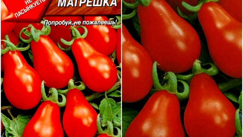 Kaip savo svetainėje užsiauginti neįtikėtinai gražų ir skanų Matryoshka pomidorą