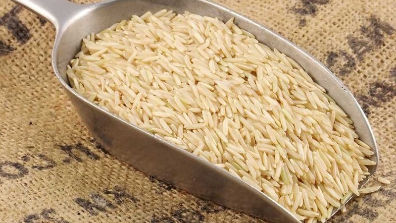Comment le riz basmati est différent du riz ordinaire