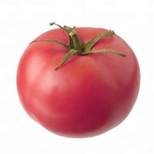 Variété de mi-saison avec fruits, comme sur la photo - tomate major et instructions pour la cultiver en terrain ouvert et fermé