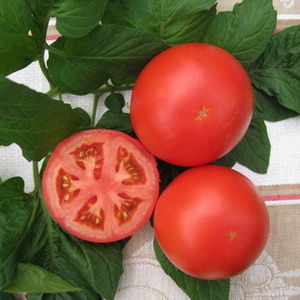 High-yielding hybrid tomato Alhambra, pleasing with large juicy fruits and resistant to diseases
