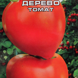 Odmiana o apetycznej nazwie - Pomidor truskawkowy: uprawiamy ją prawidłowo i zbieramy do 5 kg z krzaka