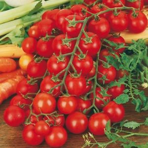 Lange wimpers bezaaid met heerlijke tomaten - Rapunzel-tomaat: beschrijving, foto en instructies voor het kweken
