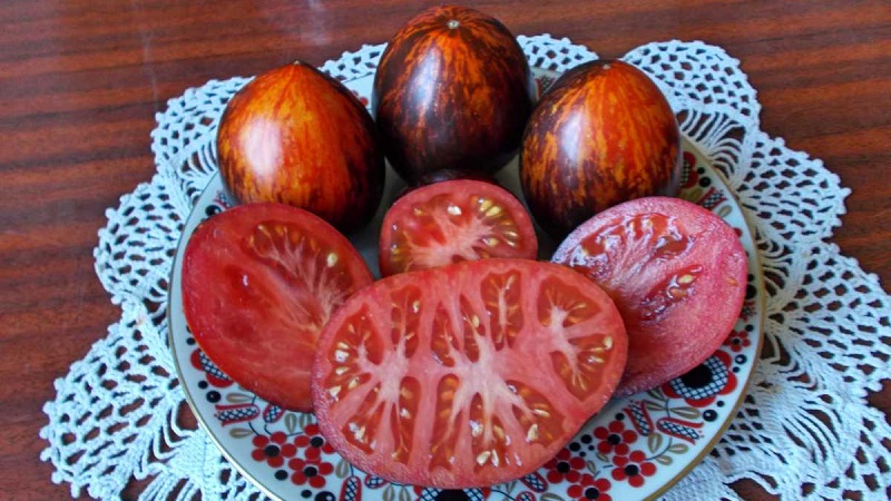 זן אקזוטי בעל מראה ייחודי - עגבניות גרגמל והמורכבות בגידולו