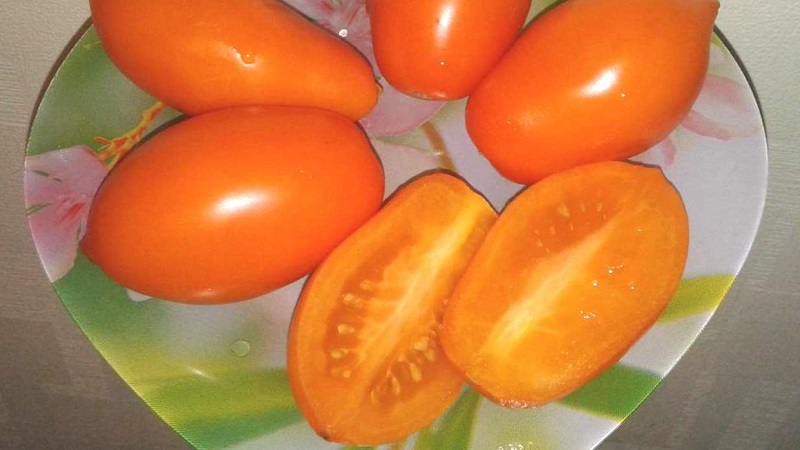 Atende aos desejos dos residentes de verão sobre uma rica colheita - o tomate Goldfish e os segredos de seu cultivo