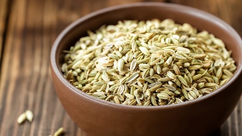 How to properly brew and drink dill for the kidneys in the treatment of urological diseases