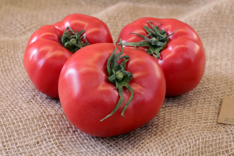 Sensei tomate doce, carnudo e despretensioso - uma descrição de técnicas agrícolas e conselhos de experientes residentes de verão