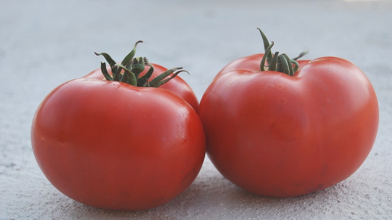 İddiasız, kullanımda çok yönlü, erken olgun domates Druzhok f1: büyümenin incelemeleri ve sırları