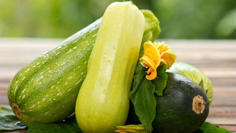 The benefits and harms of zucchini for human health: how much to eat and in what form, so as not to harm the body