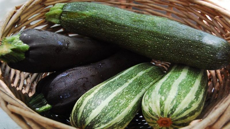 The benefits and harms of zucchini for human health: how much to eat and in what form, so as not to harm the body