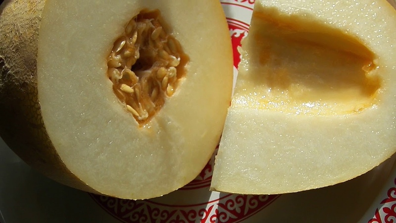 Ang mga pakinabang at pinsala ng mga buto ng melon para sa katawan
