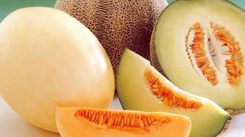 Instructions étape par étape pour choisir le bon melon: conseils utiles et astuces pour trouver les fruits les plus délicieux