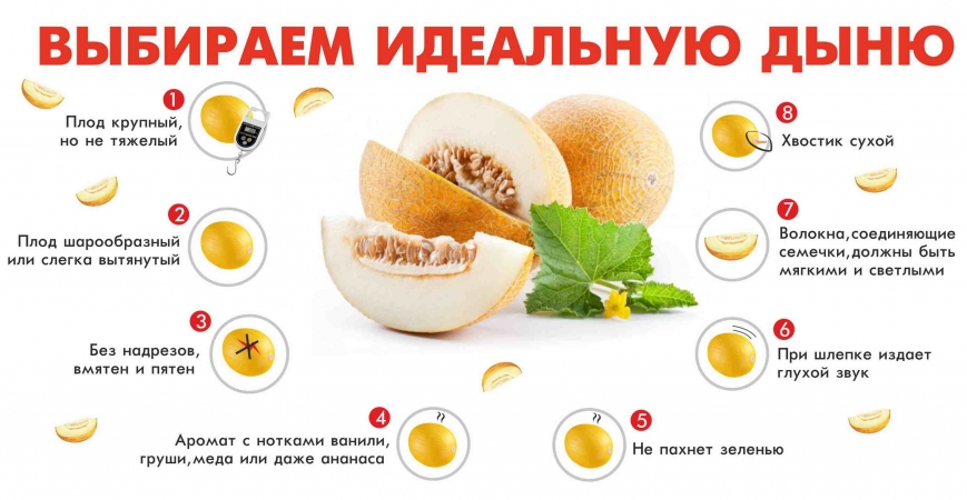 Schritt-für-Schritt-Anleitung zur Auswahl der richtigen Melone: ​​nützliche Tipps und Life-Hacks, um die köstlichsten Früchte zu finden