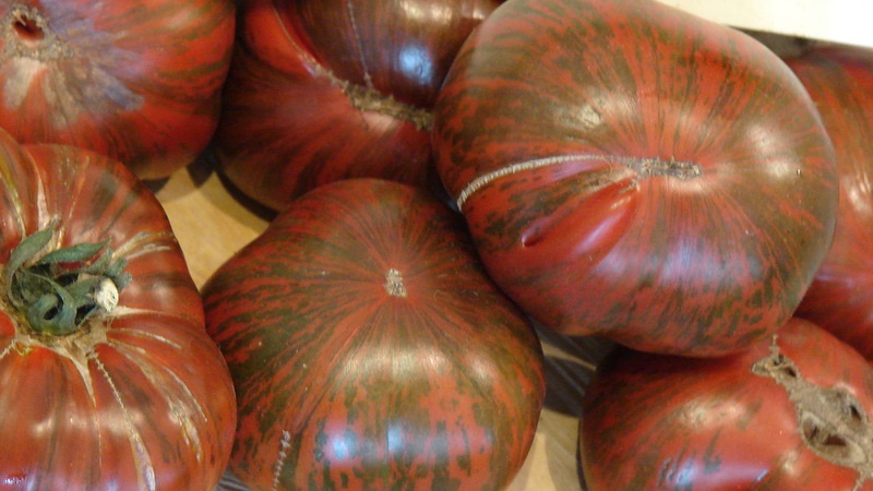 Odrůda s neobvyklou barvou, jedinečnou chutí a chutným názvem - rajčatová Pruhovaná čokoláda