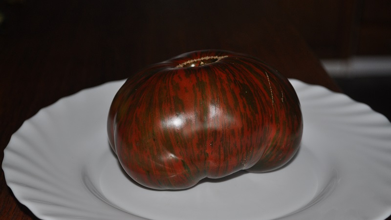 A variety with an unusual color, unique taste and appetizing name - tomato Striped chocolate