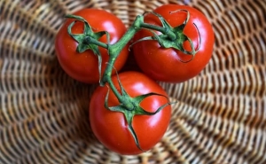 Moet ik een betta-tomaat op mijn site planten? Kenmerken en foto's van de variëteit, de nuances van het groeien