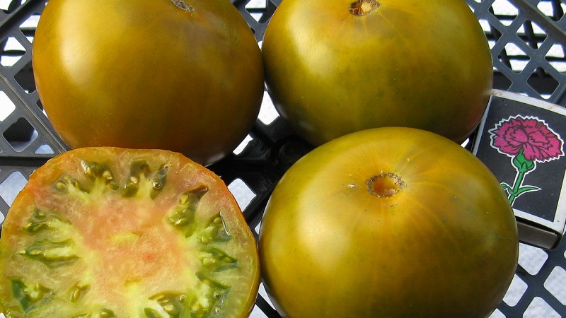 Een verbazingwekkende variëteit aan groene tomaten - de moerastomaat voor echte fijnproevers