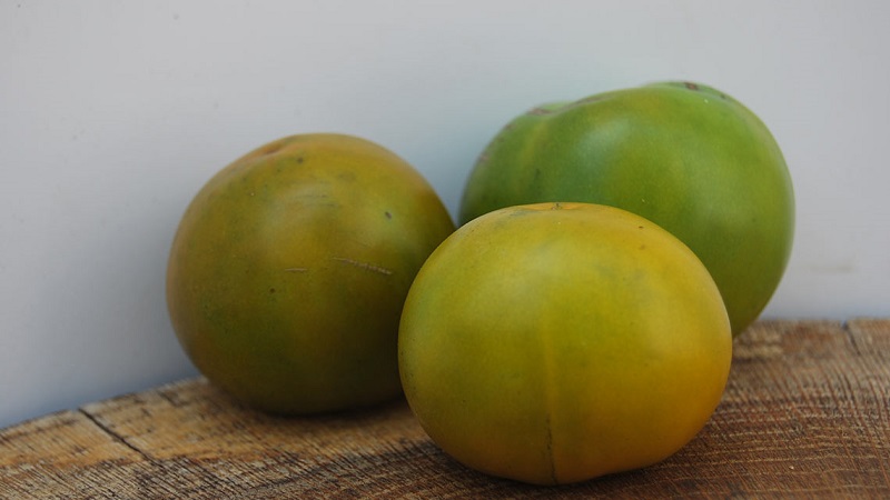 Eine erstaunliche Vielfalt an grünen Tomaten - die Sumpf-Tomate für echte Feinschmecker