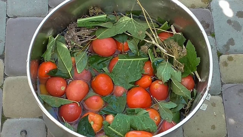 Evde domates depolamayı ve kışa kadar taze meyvelerin tadını çıkarmayı öğreneceğiz.