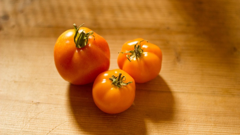 Kirkas, erittäin hyödyllinen ja lasten ihalema tomaatti-ankanpoikanen kasvatettavaksi kasvihuoneissa ja ulkona